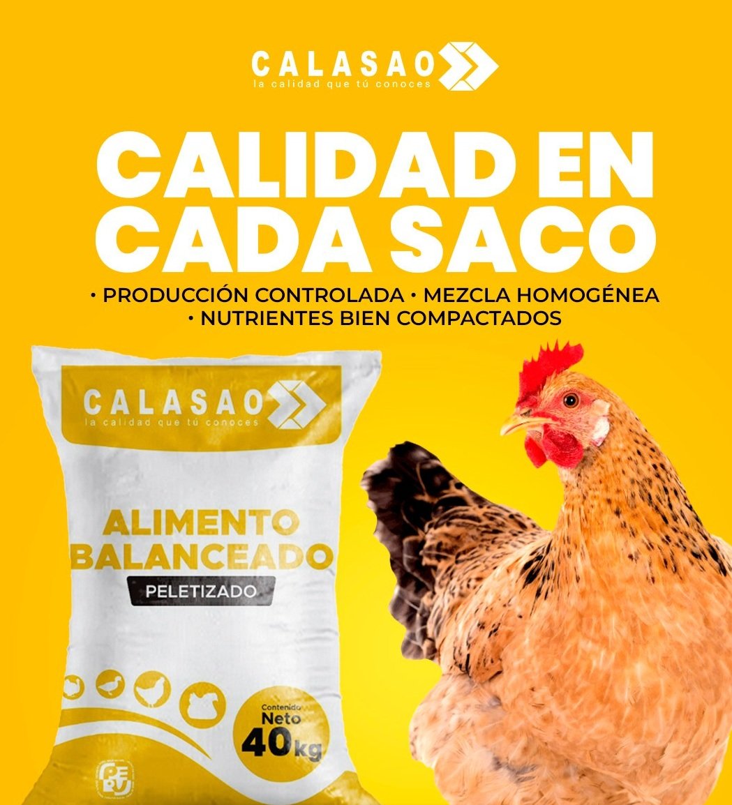 Calasao Pollos