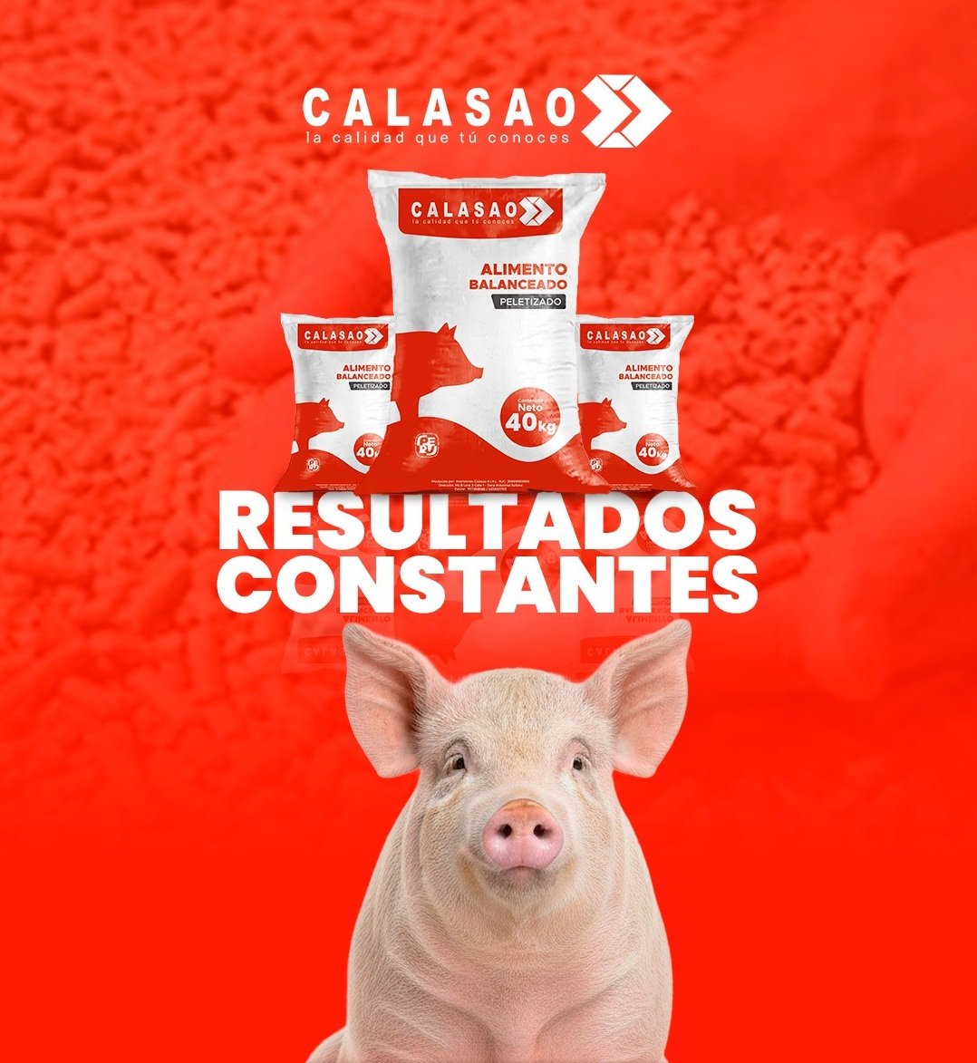 Calasao Chanchos